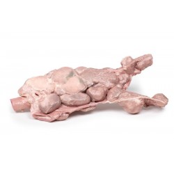 Aorta & Para-aortale Lymfeklieren, 3D Print