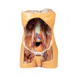 Buikholte-replica, 3Dprint