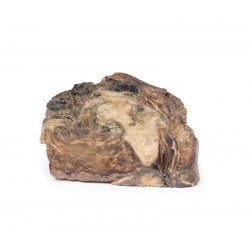 Chondrosarcoom in Dijbeen en Darmbeen, 3D Print