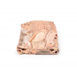 Chronische Maagzweer, 3D Print