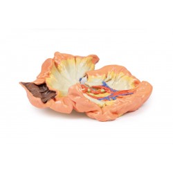 Darm - deel van het jejenum, 3D Print