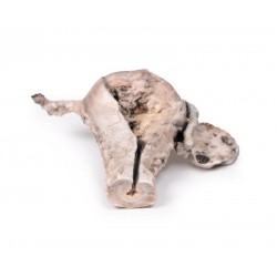 Endometriumcarcinoom, 3D Print