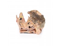 Geïnhaleerd Vreemd Lichaam - Luchtpijp, 3D Print