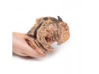 Geïnhaleerd Vreemd Lichaam - Luchtpijp, 3D Print