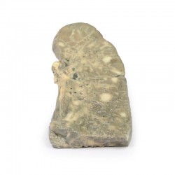 Gemetastaseerd Carcinoom, 3D Print Gemetastaseerd Carcinoom, 3D Print