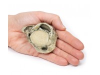 Hydrocele, 3D Print