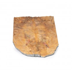 Interne Buikwand, 3D Print