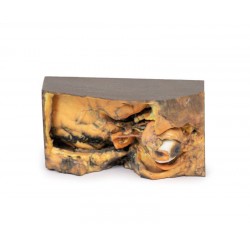 Laterale Oogkas, 3D-Print