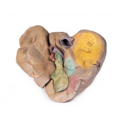 Lever met Bloedvaten en Galblaas, 3D Print