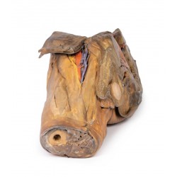 Mannelijk Bekken & Dij, 3D Print