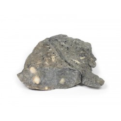 Meerdere Secundaire Tumoren in Long en Pleura, 3D Print