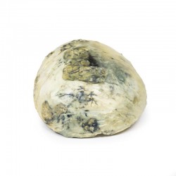 Tertiaire Syfilis, 3D Print