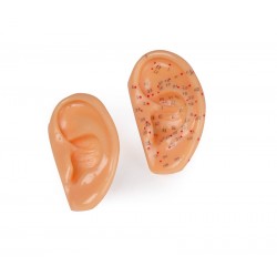 Acupunctuur Oor Set