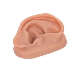 Acupunctuurmodel Oor