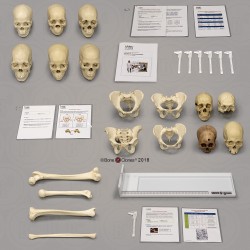 Collectie Forensische Antropologie