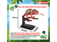 4D Vision Kameleon Model 4D Vision Kameleon Model