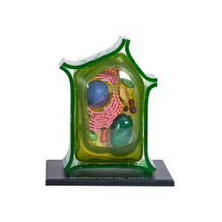 4D Science Plantencel Model