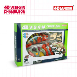 4D Vision Kameleon Model