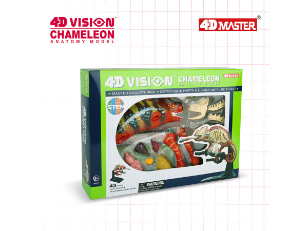 4D Vision Kameleon Model 4D Vision Kameleon Model