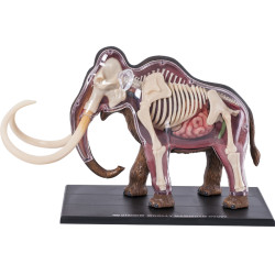 4D Vision Mammoet Model  4D Vision Mammoet Model