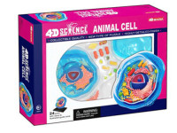 4D Science Dierencel Model