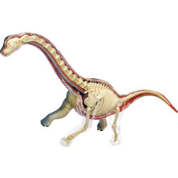 4D Vision Brachiosaurus 4D Vision Brachiosaurus