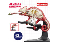 4D Vision Kameleon Model 4D Vision Kameleon Model
