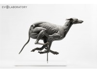 Anatomisch Model Hond Deluxe