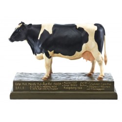 Oost-Pruisisch Hollands Stamboekkoe Model