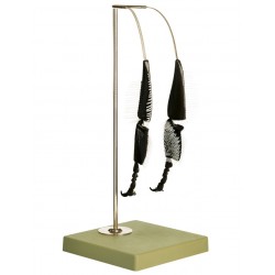 Achterpoten Bij Model 