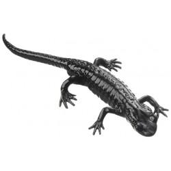 Alpenlandsalamander Model