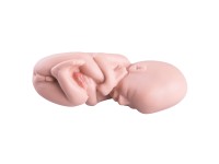 Foetus Model 5 Maanden