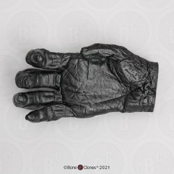 Hand Bonobo Model