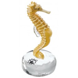 Langsnuitzeepaardje Model