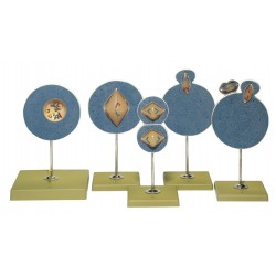 Modellenset Rijping Zaad-en Eicellen