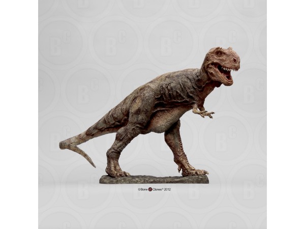 Tyrannosaurus Rex Model