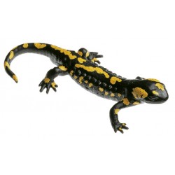 Gevlekte Vuursalamander Model