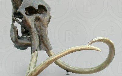 Mammoet & Mastodont