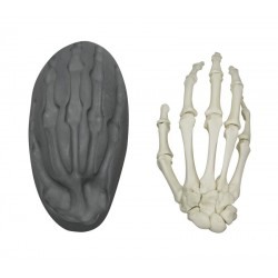 Magnetisch Handskelet