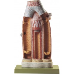 Slagader en Aders Model Slagader en Aders Model