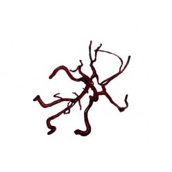 Slagader Model met Aneurysma's