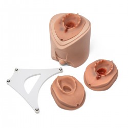 Episiotomie Trainer voor Bevallingssimulator