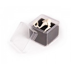 Gehoorbeentjes, 3x vergroot