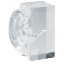 Transparant Oor Blok