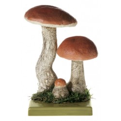 Rosse Populierboleet Model