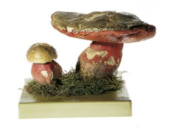 Satansboleet Model Satansboleet Model