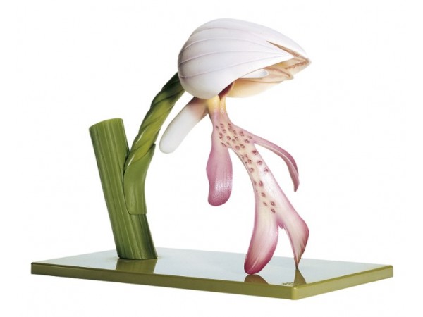 Bloem Soldaatje Model