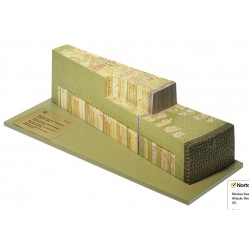 Doorsnede Twijg van de Linde