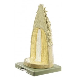 Doorsnede Wortelpunt Gerst