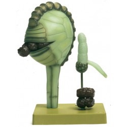 Mannetjesvaren Model, sporenformatie